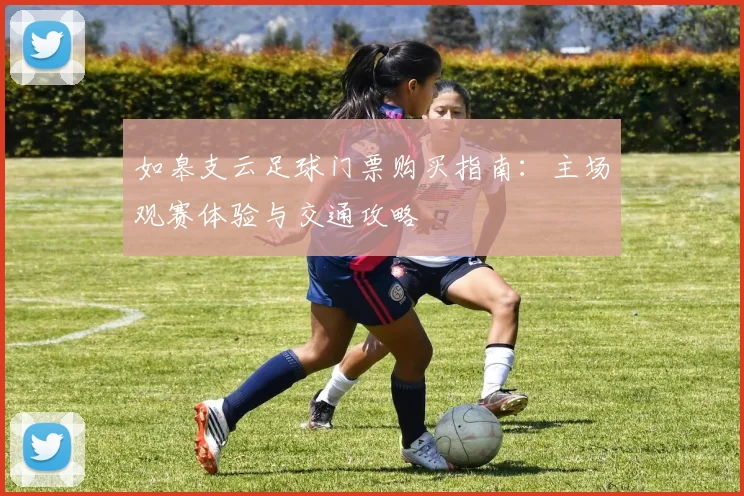 如皋支云足球门票购买指南：主场观赛体验与交通攻略
